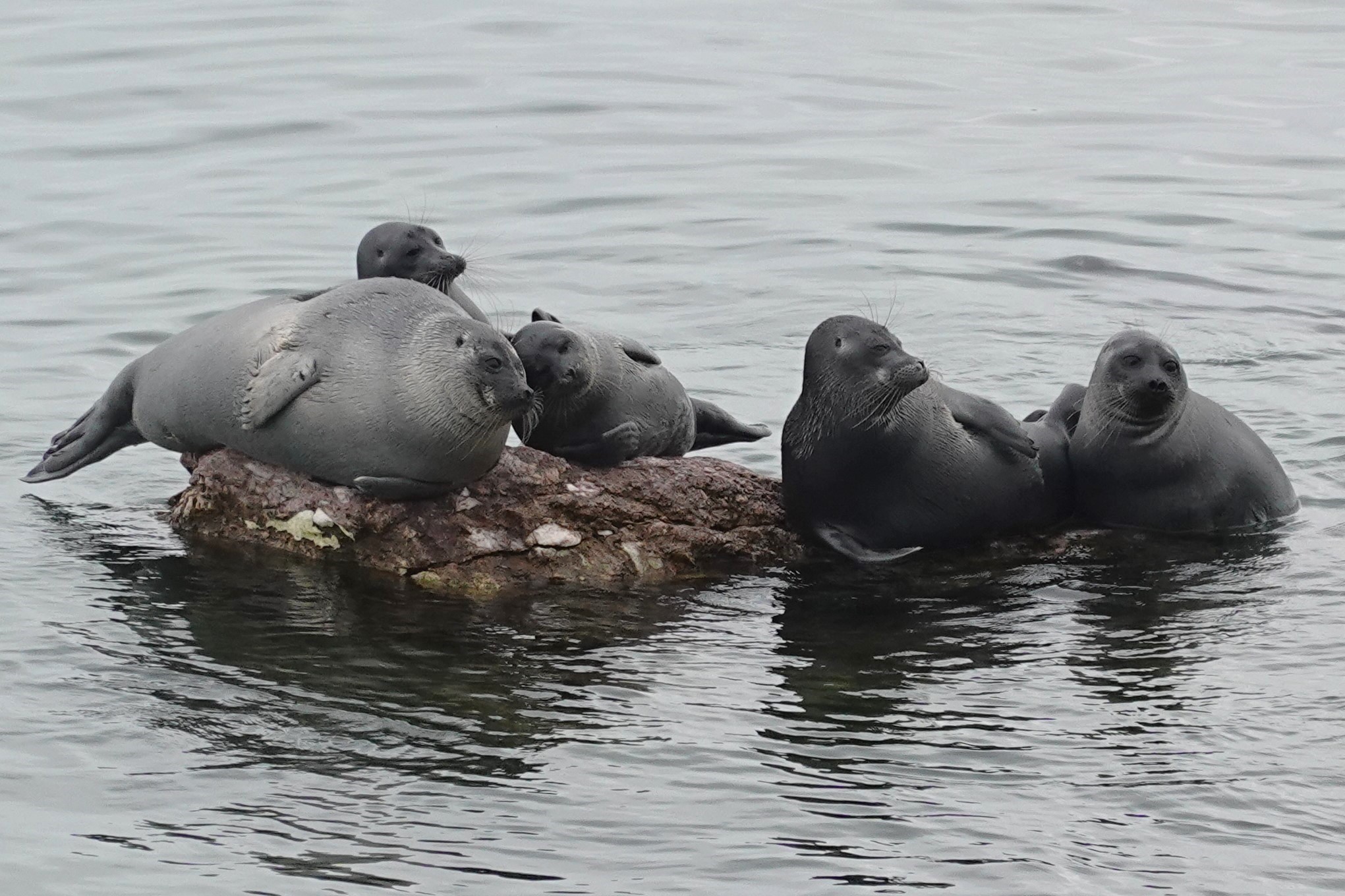 Baikal
